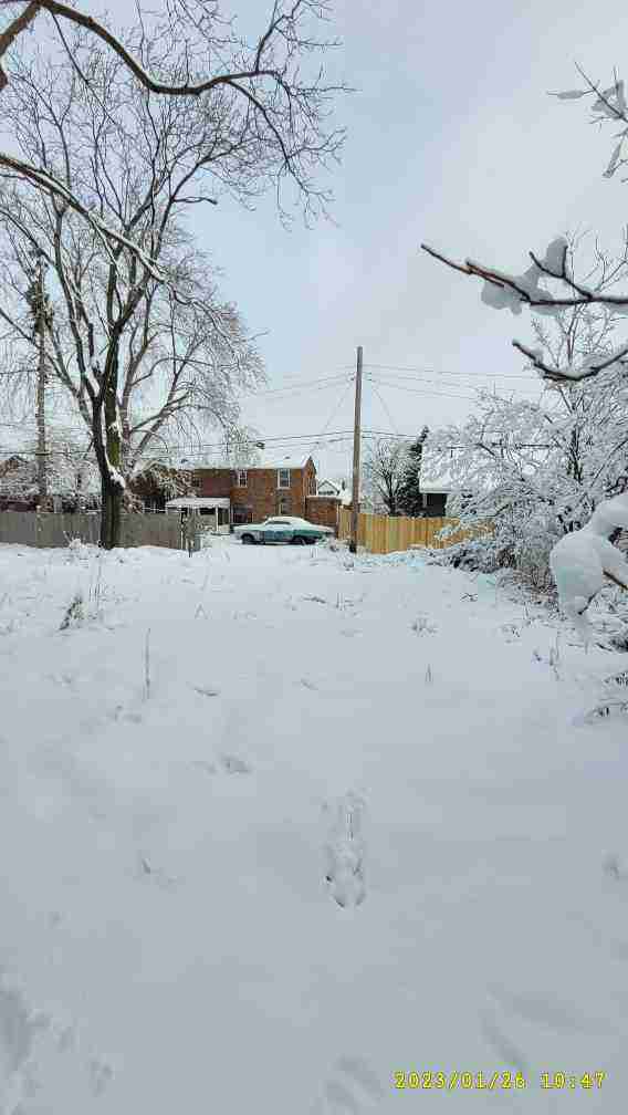 12794 alcoy (38).jpg